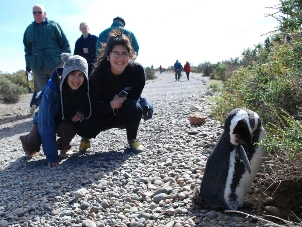 best places to see penguins