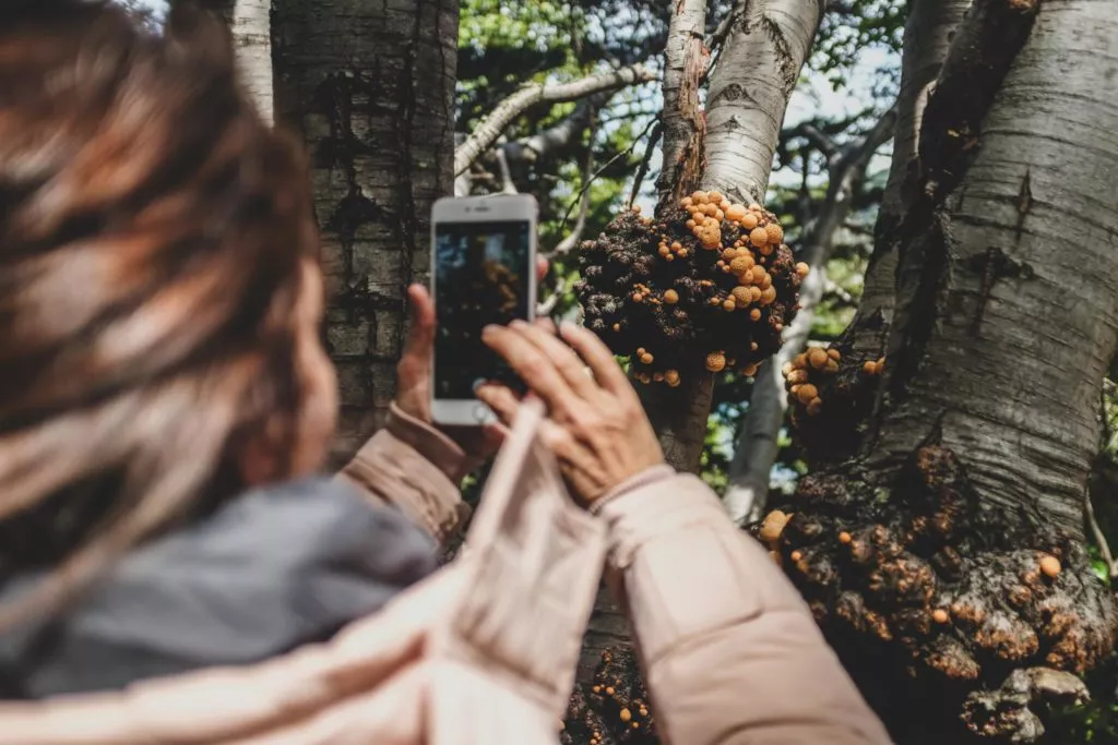 a girl taking a picture in ushuaia