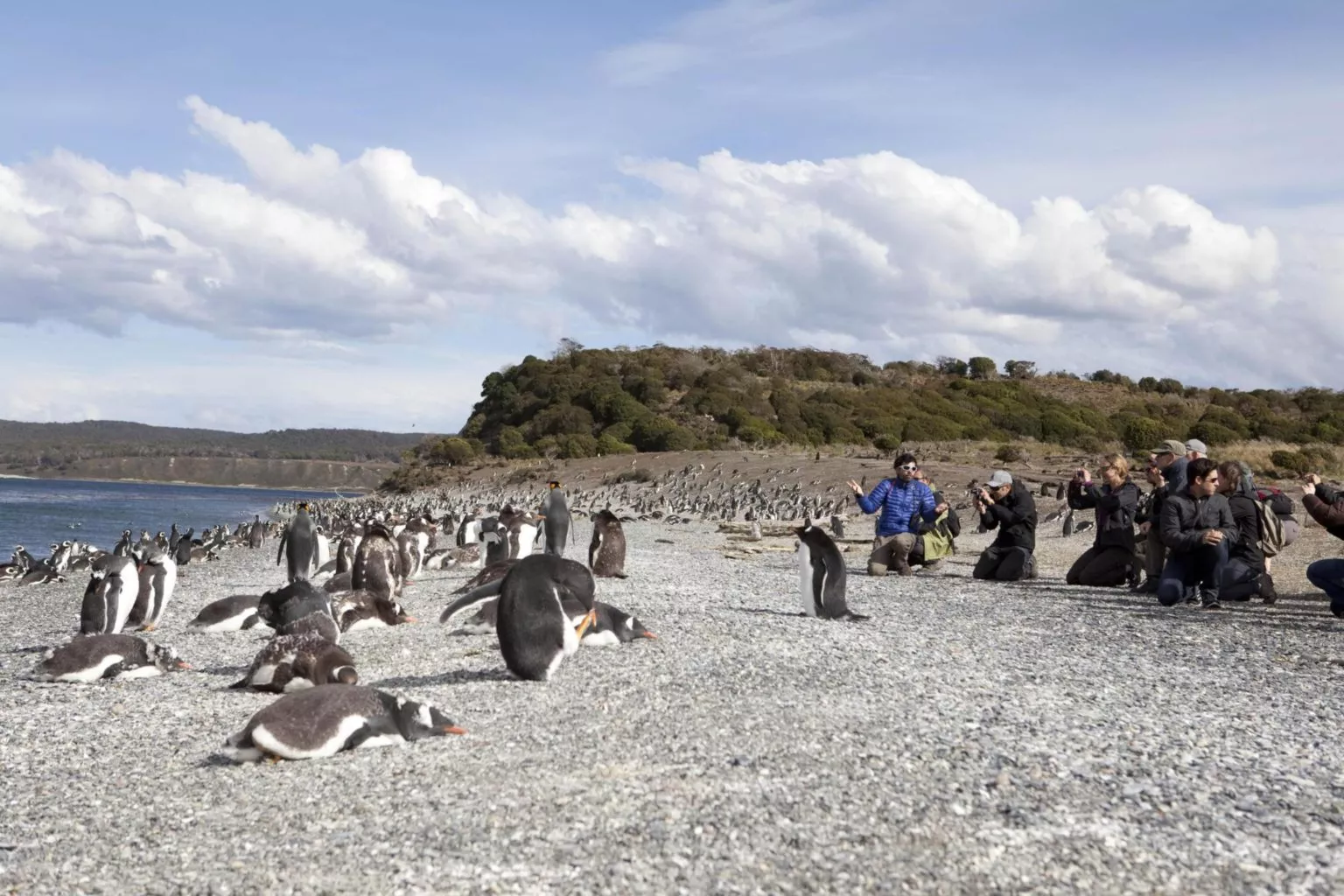 Penguins tour