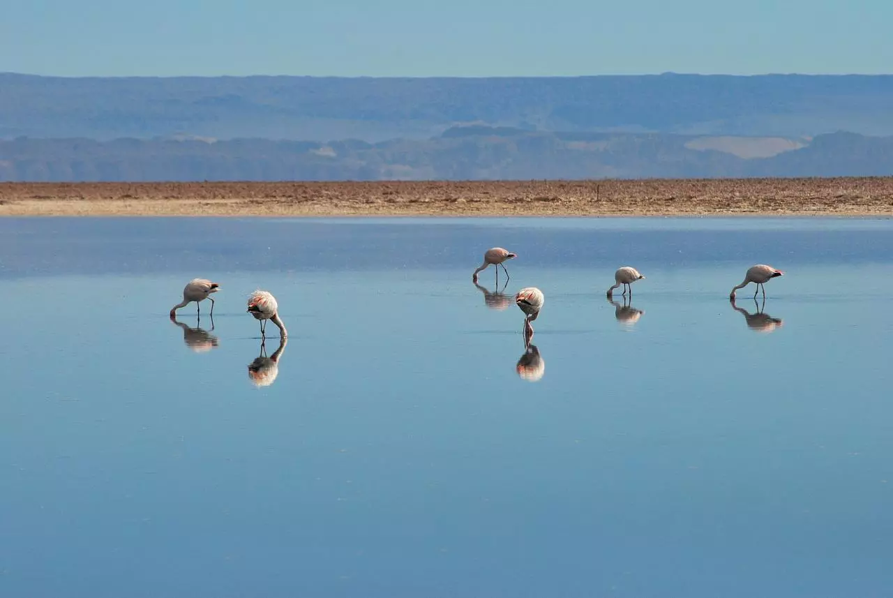 How Do Multi-Country South America Tours Work in Argentina?